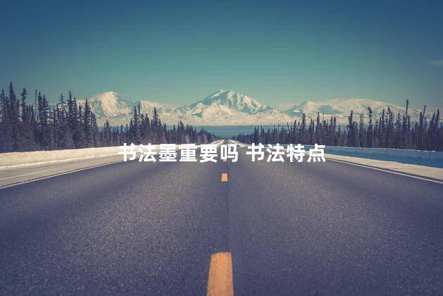 书法墨重要吗 书法特点